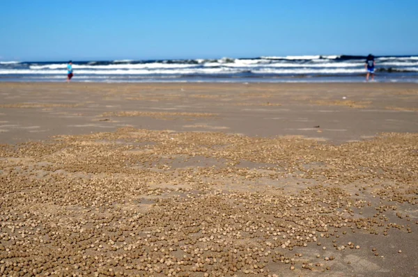 Χρυσή άμμο μπάλες — Φωτογραφία Αρχείου