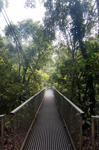 En el puente colgante — Foto de Stock