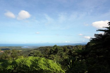Cape sıkıntı görünümü