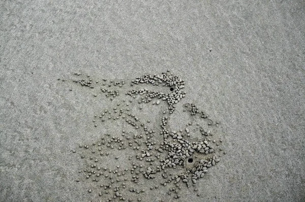 Krabba sand bollar på stranden — Stockfoto