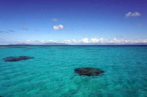 Mavi, Great barrier reef, Cairns tonları