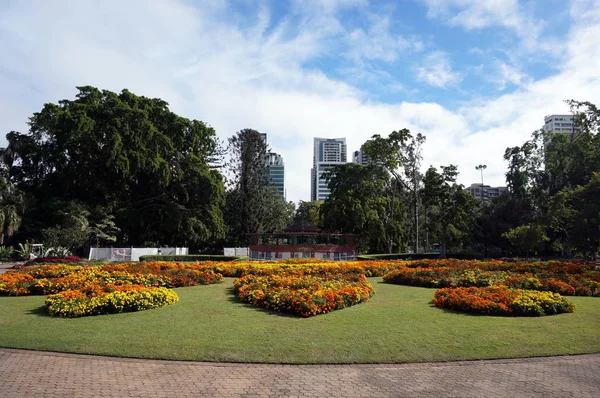 Brisbane Botanik bahçe gördüm