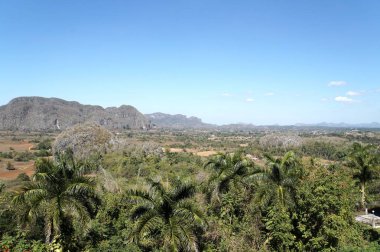 Vinales Yeşil Vadi