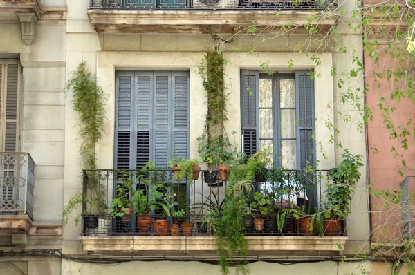 Зелений балкони в Барселоні — стокове фото