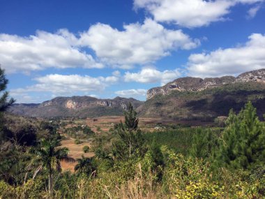 Vinales vadi manzaralı
