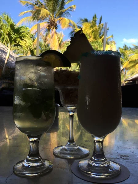 Tropikal kokteyl içecekler — Stok fotoğraf
