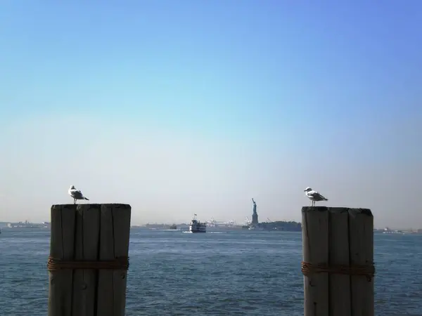 Statue de la Liberté de Battery Park — Photo