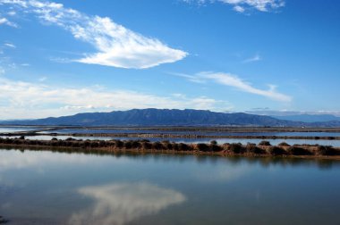 Deltebre, yansımalar