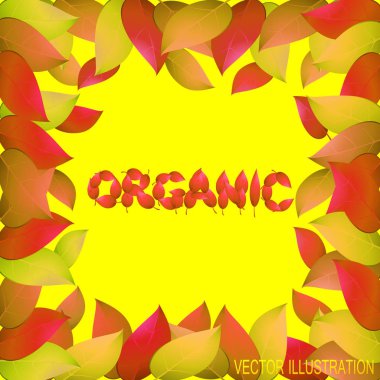 Organik arka plan sarı yaprakları ile. Sonbaharın parlak illüstrasyon Tema. Vektör çizim.