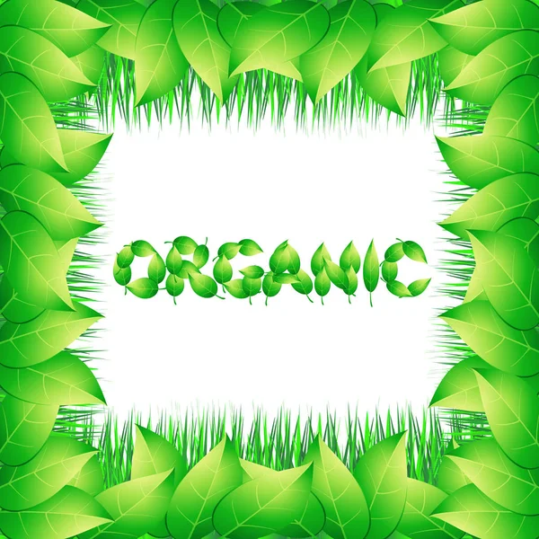 Organic background with green leaves. Bright illustration on the theme of organic.