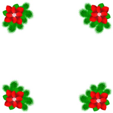 Çam ve Noel çiçekleriyle aydınlık Noel arkaplanı.