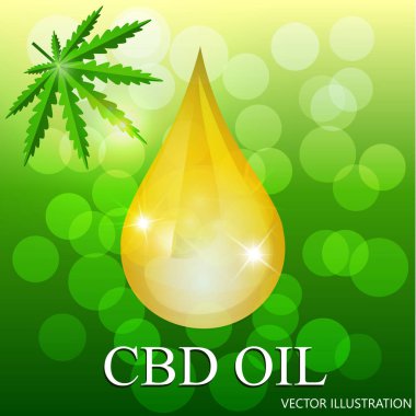 Kenevir yağı damlası ve kenevir yaprakları. Tıbbi cbd yağı. Vektör.