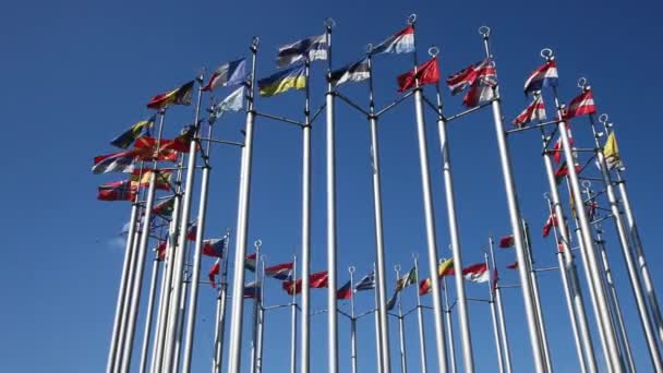 Европейские флаги на флагштоках, разработанных на ветру — стоковое видео
