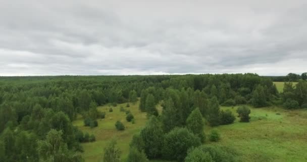 Vista aérea sobre el campo de hierba — Vídeo de stock