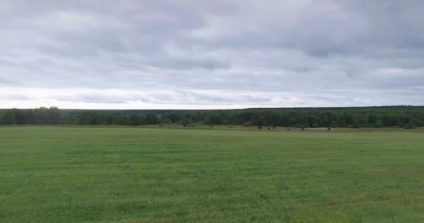 Вид с воздуха на травяное поле — стоковое видео