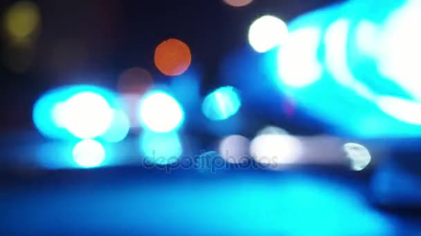 Police emergency lights — Stock Video