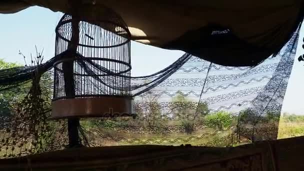 The empty cage for the bird in the tent — Stock Video