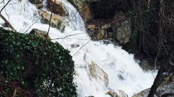 Waterval en mountain stream — Stockvideo