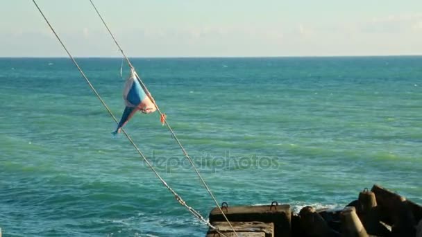 Russian flag flies in the background of the sea — Stock Video