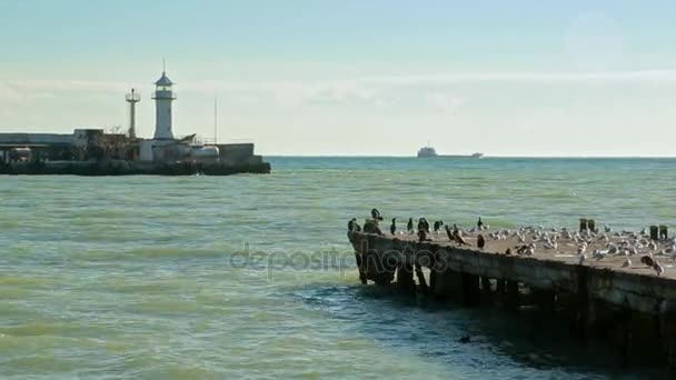 Leuchtturm und Seebrücke am Meer — Stockvideo