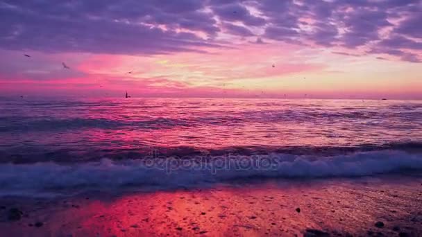 海的黎明景色 — 图库视频影像