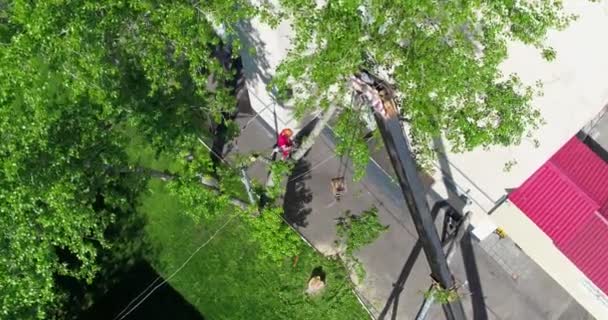 Flygfotografering arborist sågar träd på sommaren — Stockvideo