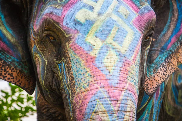 Dipinto con diversi colori elefante — Foto Stock