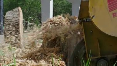 Endüstriyel odun öğütücü, kütüğü keser..