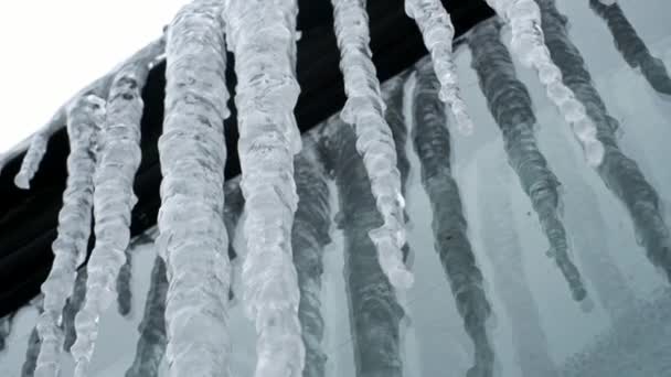 Set of big icicles with camera moving — Stock Video