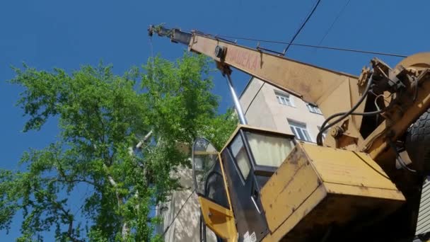 Arborist klättrare i arbetsprocess med kran i staden på sommardagen — Stockvideo