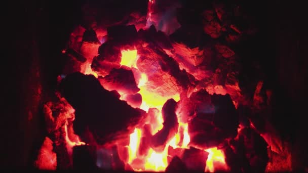 Coal anthracite burning in the stove — Stock Video
