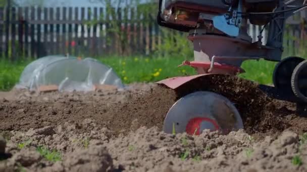Un trabajador araña la tierra con un cultivador para plantar verduras . — Vídeo de stock