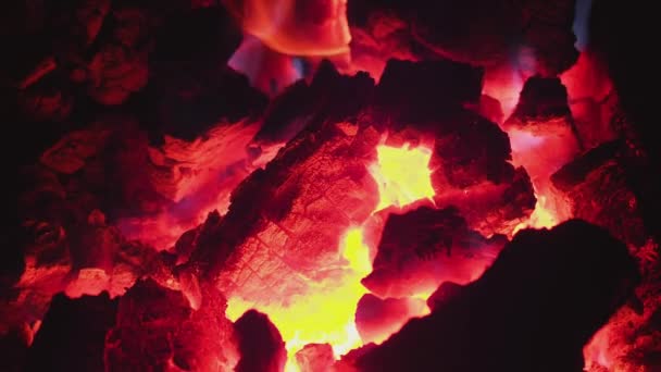 Carbón antracita ardiendo en la estufa — Vídeos de Stock