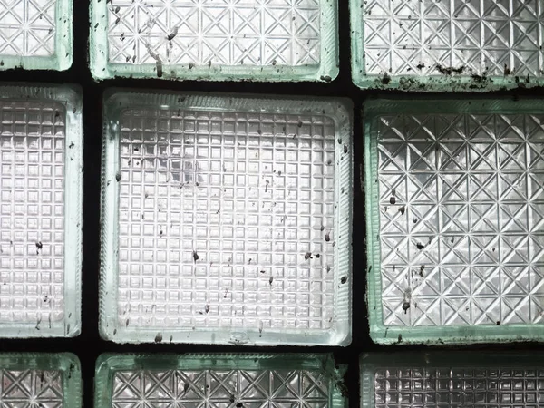 Glas des quadratischen Musters eines verlassenen Gebäudes — Stockfoto