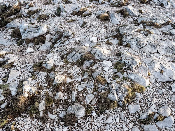 Rocky Pebble Surface, Stone Background — Stock Photo, Image