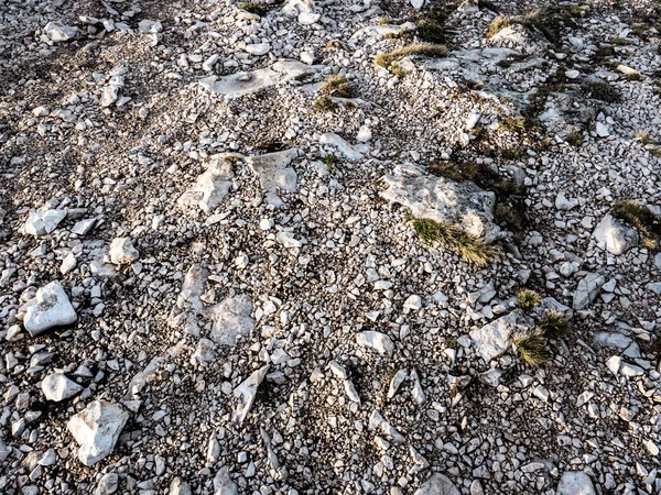 Rocky Pebble Surface, Stone Background — Stock Photo, Image