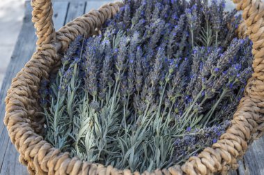 Lavanta çiçekleri sepeti