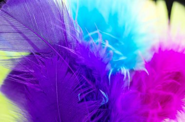 Renk tüyler arka plan