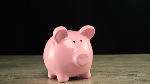 Geld in Sparschwein — Stockvideo