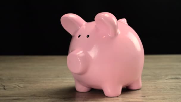 Geld in piggy bank — Stockvideo