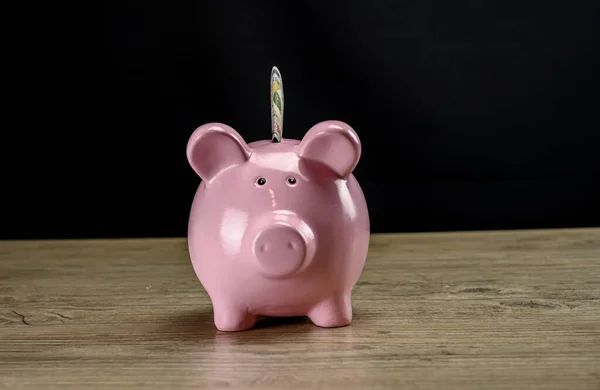 Dollar in the piggy bank bust close up