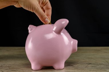 Coin in the piggy bank bust close up