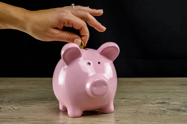 Coin in the piggy bank bust close up