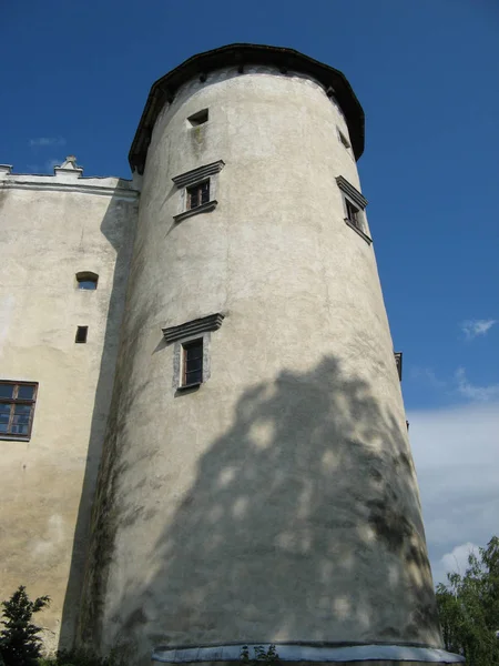 Замок Дунаец в Недзице (Польша) ). — стоковое фото
