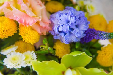 Büyük güzel çiçekler yakın çekim. 