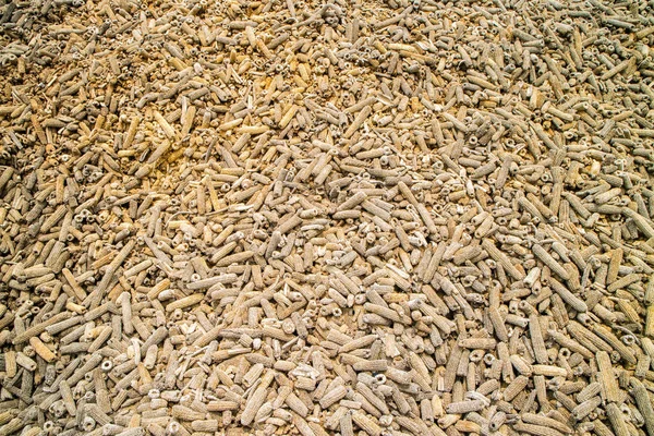 Biomassa proveniente de resíduos de milho destinados à produção de energia — Fotografia de Stock