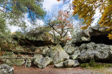 Fontainebleau Ormanı 'nda sonbahar boyunca doğa yürüyüşü