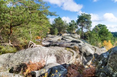 Fontainebleau Ormanı 'nda sonbahar boyunca doğa yürüyüşü
