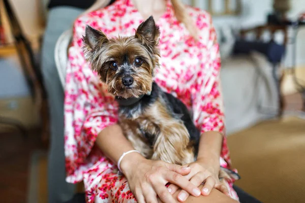 Girl in a colored robe and her cute dog, close-up — Stock Photo, Image