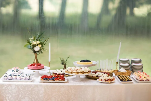 Table with loads of cakes, cupcakes, cookies and cakepops